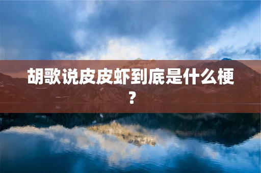 胡歌说皮皮虾到底是什么梗？