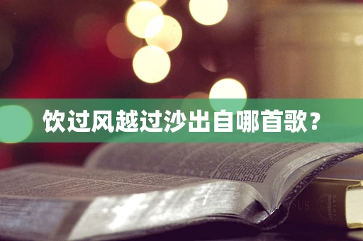 饮过风越过沙出自哪首歌？