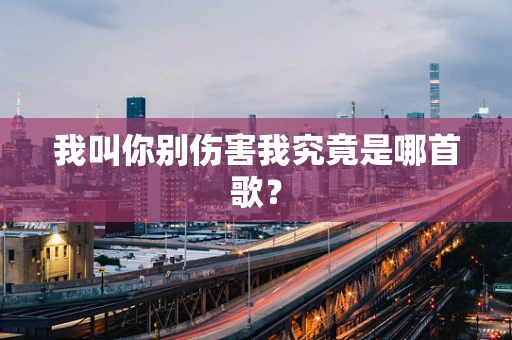 我叫你别伤害我究竟是哪首歌？