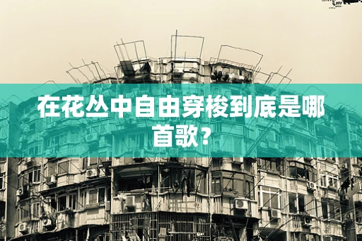在花丛中自由穿梭到底是哪首歌？