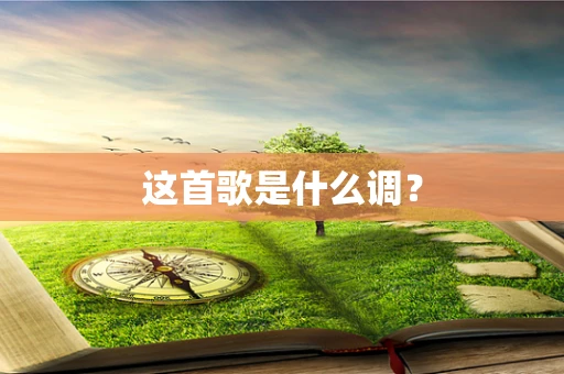 这首歌是什么调？