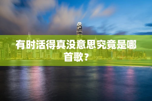 有时活得真没意思究竟是哪首歌？