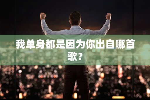 我单身都是因为你出自哪首歌？