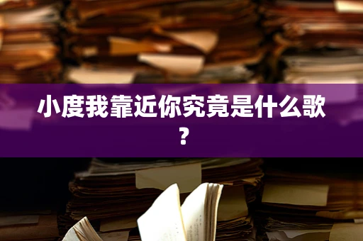 小度我靠近你究竟是什么歌？