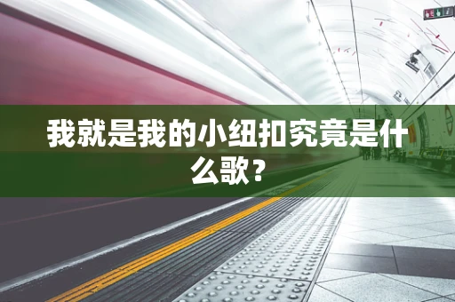 我就是我的小纽扣究竟是什么歌？