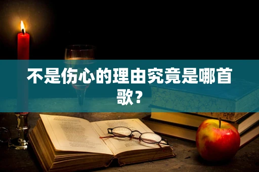 不是伤心的理由究竟是哪首歌？