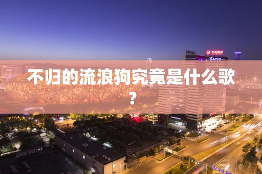 不归的流浪狗究竟是什么歌？