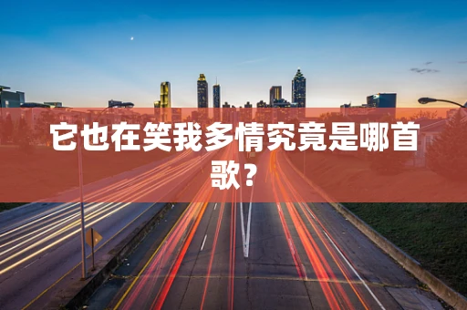 它也在笑我多情究竟是哪首歌？