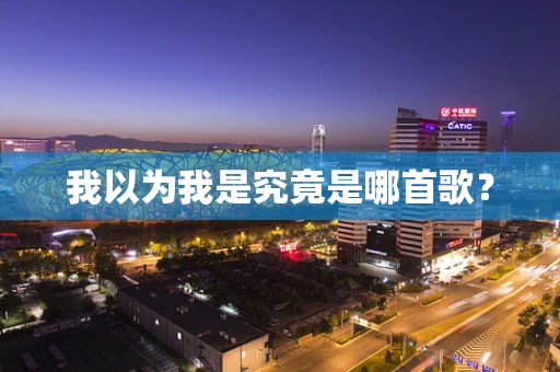 我以为我是究竟是哪首歌？
