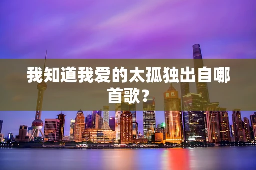 我知道我爱的太孤独出自哪首歌？
