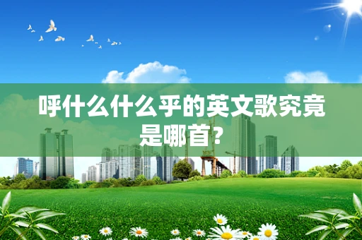 呼什么什么乎的英文歌究竟是哪首？