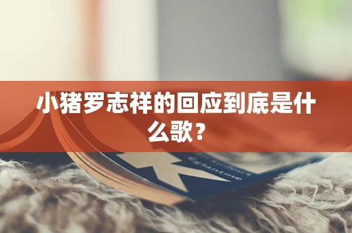 小猪罗志祥的回应到底是什么歌？