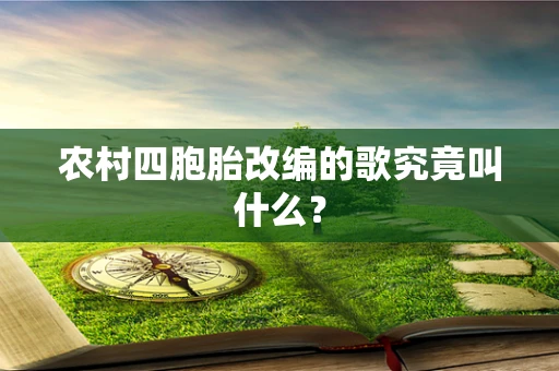农村四胞胎改编的歌究竟叫什么？