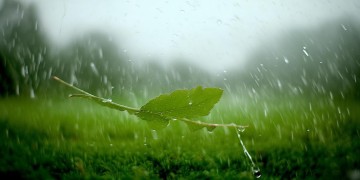 风吹雨落不敢退究竟是哪首歌？
