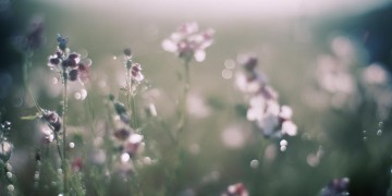 嘴硬没给任何承诺究竟是哪首歌？