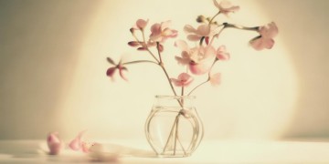 简简单单的舍不得究竟是哪首歌？