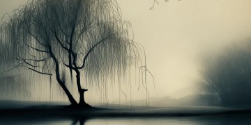 哪首歌有着最悲伤的恋爱歌词？