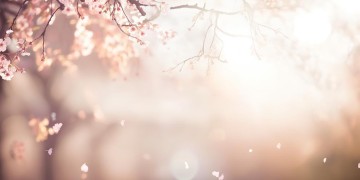 我用青春换你究竟是哪首歌？