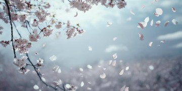 我是已经全部是伤出自哪首歌？