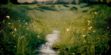 一生要走多远的路程究竟是哪首歌？