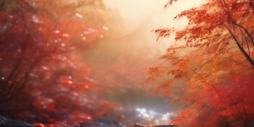 你们辛苦啦属于什么歌？