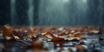 深秋的雨是什么颜色的是哪首歌？