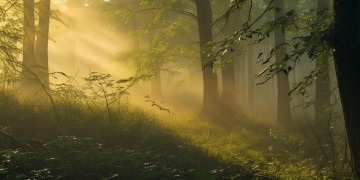 胡歌猎场的主题曲究竟是什么？