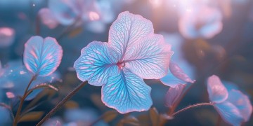 为的就是我眼睛这句歌词出自哪首歌？