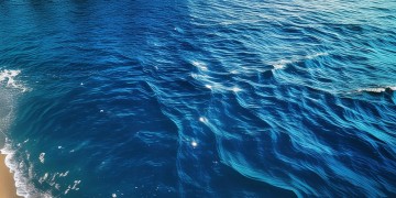 海之蓝歌的男主角究竟叫什么？