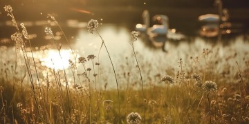 爱情故事究竟是什么歌？