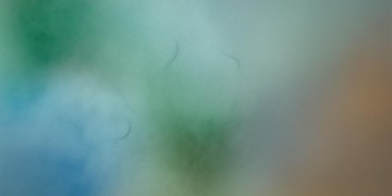 我们要学会坦然究竟是哪首歌？