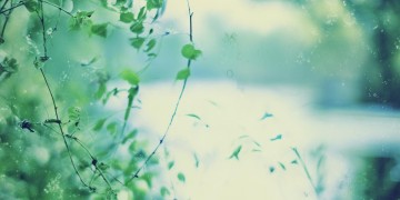 从前怕你离开我这句歌词出自哪首歌？