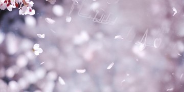 爱到最后就好究竟是哪首歌？