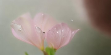 张杰心疼瞬间是哪首歌？