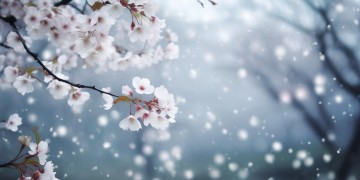 怕无归期他空欢喜出自哪首歌？
