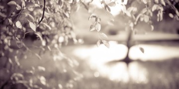 你走后挥挥手告别是哪首歌？