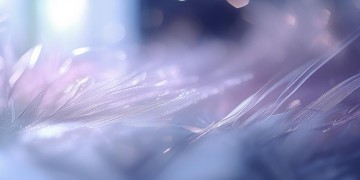 还能再见一面出自哪首歌？