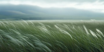 外面的世界会有风吹雨打究竟是哪首歌？