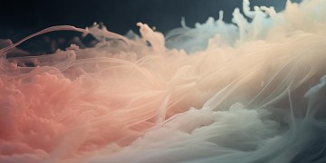 老板你要往哪走是哪首歌？