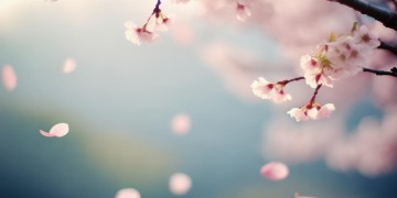 被拒绝的爱歌词出自哪首歌？