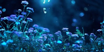 唱的星座究竟是哪首歌？