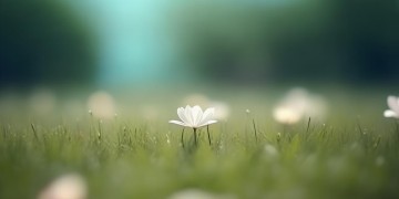 心花一朵这首DJ到底是什么歌？