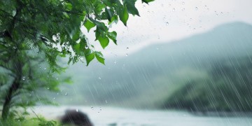 迎着风吹着雨究竟是哪首歌？