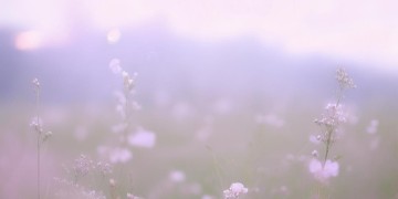 今天有点黑想变白究竟是哪首歌？
