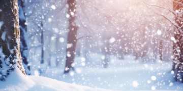 有哪些跟雪有关系的歌曲呢？