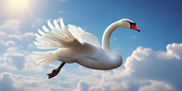 空中潇洒的转弯究竟是哪首歌？