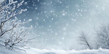 雪花依然放不下出自哪首歌？