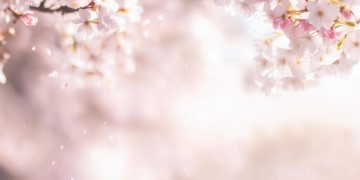 我们的爱没有错究竟是哪首歌？