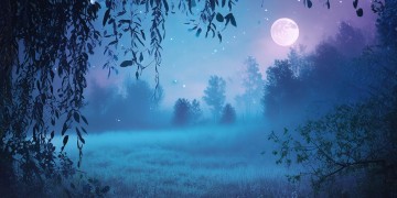 消失在那个夜晚究竟是什么歌？