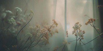 微笑说点扎心的话到底是什么歌？